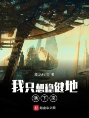 省港旗兵3国语完整