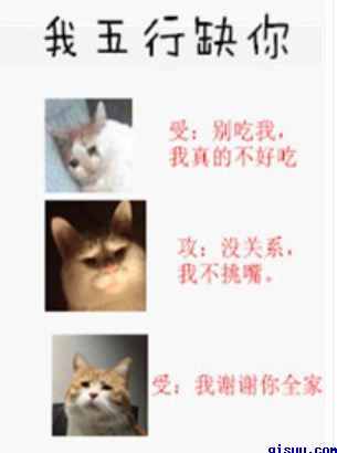 大香伊人中文字幕精品