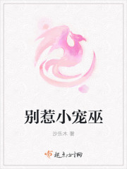 3b布衣天下123456今天