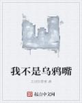 电梯小姐在线观看