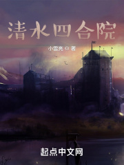 午夜大陆理论免费观看