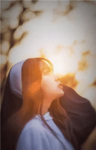 苏晨刘依依第14