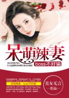 信者无敌电视剧全集免费观看
