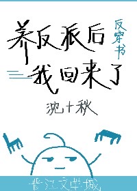 宫锁珠帘免费看