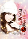 数码暴龙2