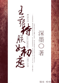 岳婿合体内容介绍