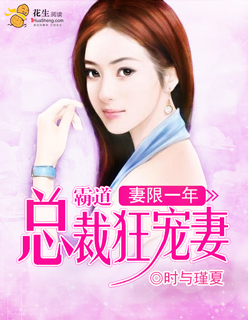 王朔王子文