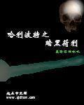 小海螺直播付费破解版