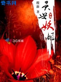 首席错爱