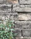 西方37大但人文艺术A管