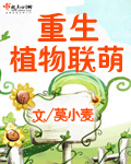 后宫美女如云