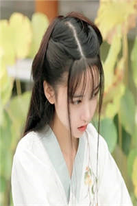 战神赘婿