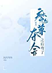 小鹿出什么装备