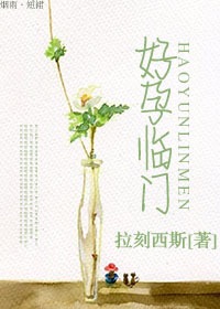 ady9映画防弊屏映画网