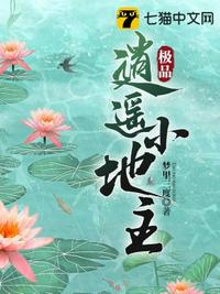 欲望电梯苏虹全文阅读
