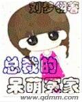 叶苒苒萧司琛小说免费阅读无弹窗