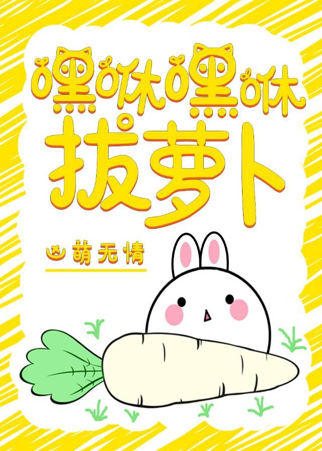 2024年修电脑照片资源贴吧