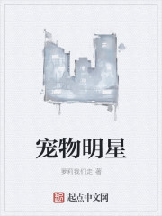 战乙女苏菲亚