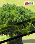 小说皮剑青寻龙天师免费阅读