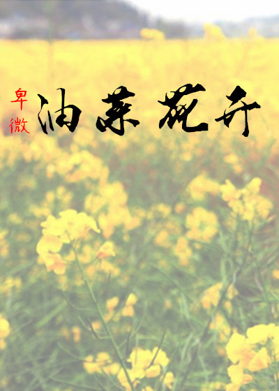 蝌蚪资源网