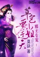 不良医妃要休夫