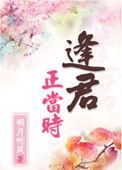 三邦车电影在线观看