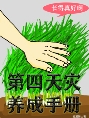 h娜美