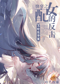 迪拉夫人电视剧