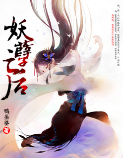 写的特别细的PO1VN