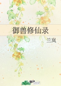 屁屁宽频