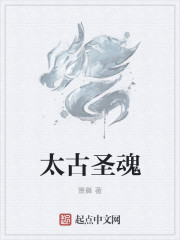 全网影视