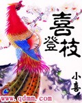 陈庆之苏晚盈