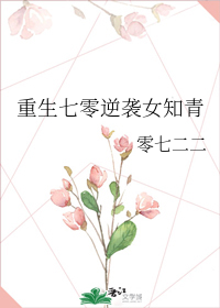 魔兽世界人口普查器