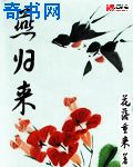 在线亚洲精品自拍
