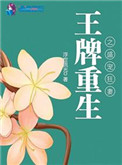 换个方式做吧未增删动画免费风车