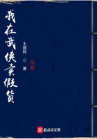 恋上你的绝世容颜
