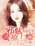 海贼王白星本子