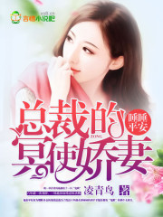 风间零咸湿西游记全集