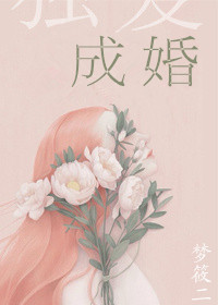 凸凹导航