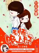 黑莲花攻略手册 txt