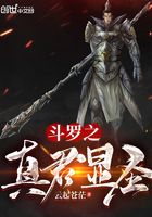魔秀桌面电脑版