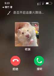 头师父一体2
