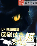 辉夜大小姐想让我告白漫画