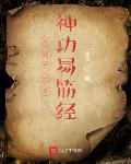 系统让我去算命