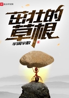 找离婚的女人