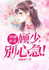 三角蓝动漫全集在线看