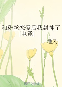 凤凰无泪之天下无双电视剧