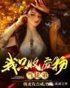 都市后宫小说