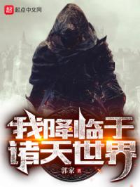 龙珠超目录