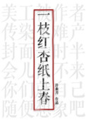 www.95pao.com